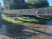 CALAMUCHITA: HALLARON SIN VIDA A UN TURISTA DE 71 AÑOS EN EL INTERIOR DE UNA PILETA.