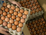 CARÍSIMOS: POR 5° VEZ AUMENTÓ EL PRECIO DE LOS HUEVOS. EL INCREMENTO EN LO QUE VA DEL 2023 YA SUPERA EL 28%.