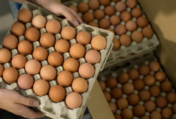 CARÍSIMOS: POR 5° VEZ AUMENTÓ EL PRECIO DE LOS HUEVOS. EL INCREMENTO EN LO QUE VA DEL 2023 YA SUPERA EL 28%.