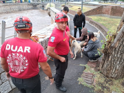 RESCATARON A UN PERRITO QUE SE CAYÓ EN LA CAÑADA.