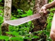 PASÓ EN MISIONES: UNA MUJER ATACÓ A MACHETAZOS A SU EX PAREJA Y EX SUEGRA. ENTRÓ A LA VIVIENDA POR LA VENTANA.