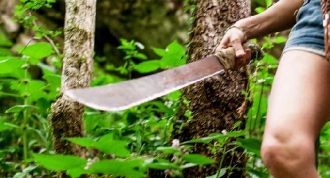 PASÓ EN MISIONES: UNA MUJER ATACÓ A MACHETAZOS A SU EX PAREJA Y EX SUEGRA. ENTRÓ A LA VIVIENDA POR LA VENTANA.