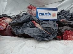 PARAJE EL BAÑADO: UNA PAREJA TRANSPORTABA EN UNA HILUX UN TERNERITO FAENADO DE 170 KG PARA VENDERLO EN UNA CARNICERÍA.