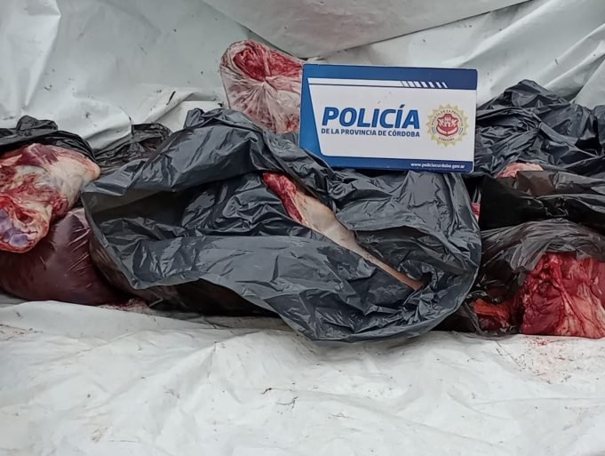PARAJE EL BAÑADO: UNA PAREJA TRANSPORTABA EN UNA HILUX UN TERNERITO FAENADO DE 170 KG PARA VENDERLO EN UNA CARNICERÍA.