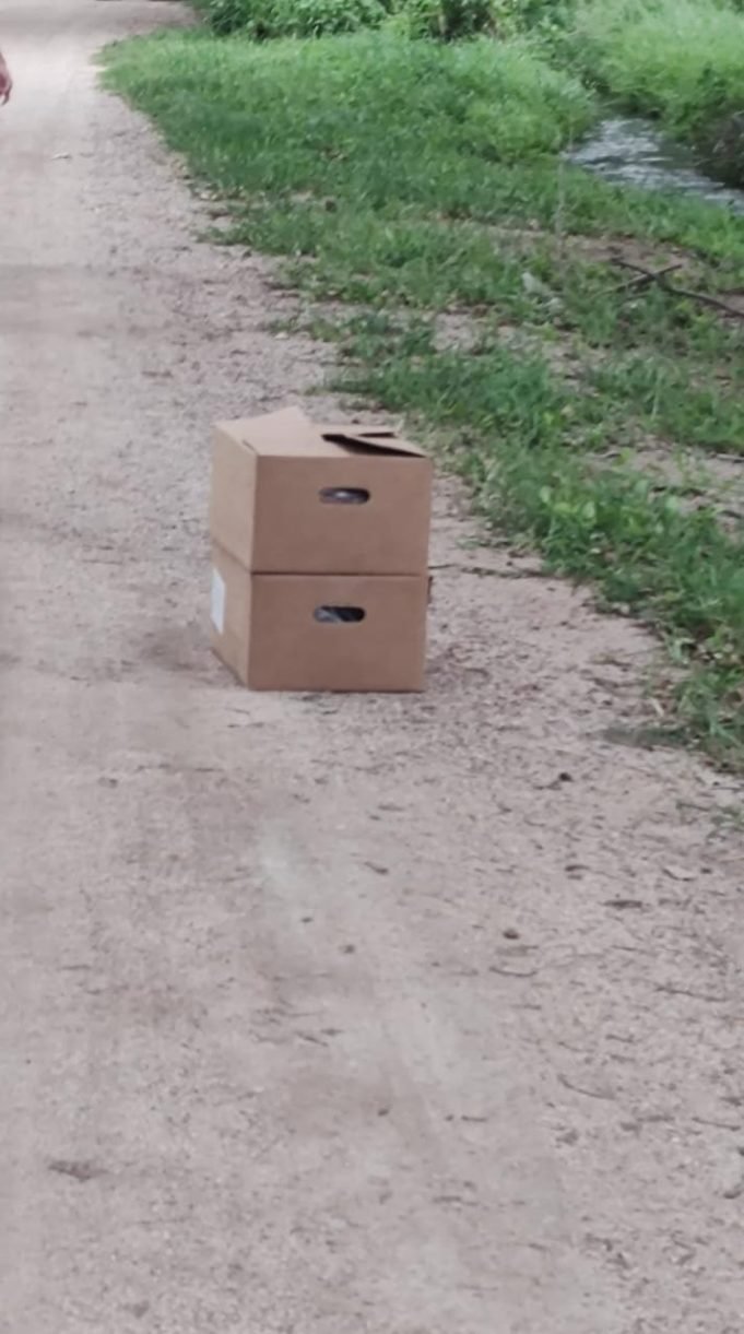 COLONIA CAROYA: HALLARON 6 CAJAS DE CHOCOLATE EN LA VÍA PÚBLICA. LAS HABÍAN ROBADO DE LA FÁBRICA ARCOR.