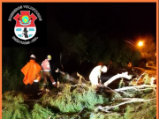 ALERTA NARANJA: TRAS LA TORMENTA EN DEÁN FUNES Y LOS POZOS SE REGISTRARON CAÍDAS DE POSTES Y ÁRBOLES.