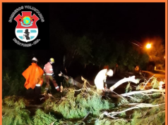 ALERTA NARANJA: TRAS LA TORMENTA EN DEÁN FUNES Y LOS POZOS SE REGISTRARON CAÍDAS DE POSTES Y ÁRBOLES.
