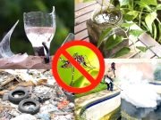 CRECE LA PREOCUPACIÓN POR LOS CASOS DE DENGUE EN DEÁN FUNES. HAY 3 CONFIRMADOS Y DOS EN ESTUDIO.