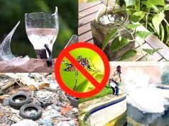 CRECE LA PREOCUPACIÓN POR LOS CASOS DE DENGUE EN DEÁN FUNES. HAY 3 CONFIRMADOS Y DOS EN ESTUDIO.