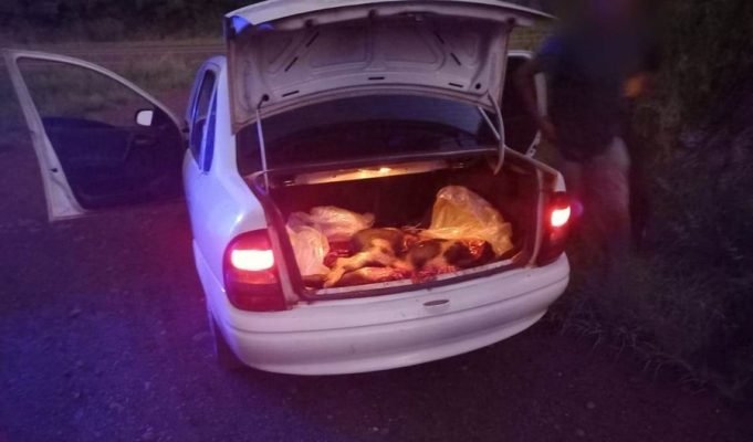 QUILINO: DETUVIERON A UN JOVEN DE 25 AÑOS POR ABIGEATO. TRANSPORTABA 150 KG DE CARNE PORCINA Y DERIVADOS.