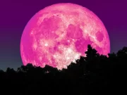 LUNA ROSA EN ARGENTINA: ¿CUÁNDO Y A QUÉ HORA SE PODRÁ VER?