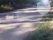 RALLY EN TUCUMÁN: MURIÓ UN ESPECTADOR AL DESPRENDERSE UNA RUEDA DE UN AUTO QUE IMPACTÓ EN SU CABEZA. ¡MIRÁ!