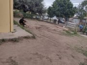 DEAN FUNES: COMENZARON CON EL ARMADO DE LAS AULAS PROVISORIAS PARA LA PROA EN LA ESCUELA SANTA MÓNICA. RESPECTO AL EDIFICIO PROPIO AÚN NO HAY NOVEDADES.