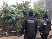 CAE DELIVERY DE ESTUPEFACIENTES CON MÁS DE 14.000 DOSIS EN SU DOMICILIO DE SAN MARCOS SUD.