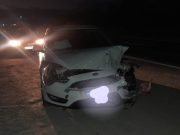 LUCIO V. MANSILLA: UN FOCUS CHOCÓ CON UN PORCINO SUELTO EN RUTA 60 KM 903.