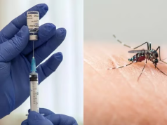 LA ANMAT APROBÓ EL USO DE UNA VACUNA CONTRA EL DENGUE.