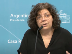 DENGUE EN ARGENTINA: LA MINISTRO VIZOTTI DIJO QUE “ESTAMOS EN MEDIO DE UN BROTE”.