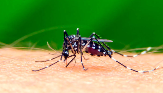 SON AL MENOS 25 LAS PERSONAS FALLECIDAS POR DENGUE EN EL PAÍS.