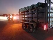 LAS ARRIAS: UN HOMBRE QUE TRASLADABA ILEGALMENTE 4 CABALLOS INTENTÓ COIMEAR CON $4000 A LA POLICÍA PARA EVITAR SER APREHENDIDO.