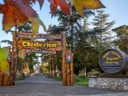 MÁS DE 1,3 MILLONES DE TURISTAS VIAJARON ESTE FINDE LARGO.