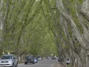 COLONIA CAROYA: DETUVIERON A UN HOMBRE IMPLICADO EN UN PRESUNTO ABUSO SEXUAL INFANTIL.