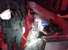 CALERA: LA FPA REALIZÓ CONTROLES PREVENTIVOS EN UNA FIESTA ELECTRÓNICA.