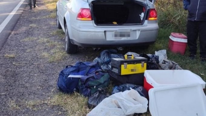RUTAS CORDOBESAS: UN HOMBRE FUE DETENIDOS POR TRANSPORTAR EN SU AUTO 504 PESCADOS.