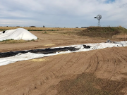 BELL VILLE: DURA CONDENA A INTEGRANTES DE UNA BANDA QUE ROBABA CEREAL EN EL SUR ESTE DE LA PROVINCIA.