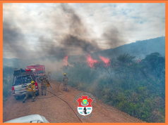 BOMBEROS CONTUVIERON UN INCENDIO FORESTAL EN ONGAMIRA.