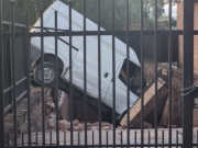 UNA CAMIONETA SE INCRUSTÓ EN EL PATIO DE UN JARDÍN DE INFANTES LUEGO DE CHOCAR CON UN AUTO. ¡DE MILAGRO NO HABÍA NINGÚN NIÑO AFUERA!