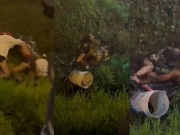 PASA EN REDES: BRUTAL PELEA ENTRE TRES CHICAS EN UNA ZANJA LLENA DE BARRO A LA SALIDA DE UN BOLICHE.