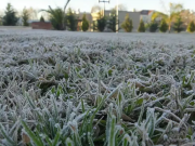 CÓRDOBA OFICIALMENTE EN “EMERGENCIA AGROPECUARIA” POR HELADAS.