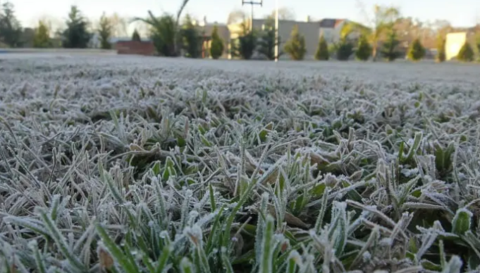 CÓRDOBA OFICIALMENTE EN “EMERGENCIA AGROPECUARIA” POR HELADAS.