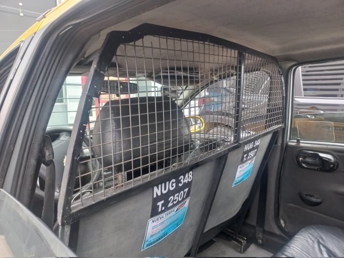 CÓRDOBA: QUEDARON HABILITADAS LAS BARRERAS FÍSICAS PARA TAXIS Y REMISES COMO MEDIDA DE SEGURIDAD ANTE LOS HECHOS DELICTIVOS.