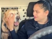 PASA EN REDES: “BUBU” EL PERRO POLICÍA DE HERMOSILLO QUE SE JUBILÓ TRAS 9 AÑOS DE SERVICIO Y SU DESPEDIDA SE VOLVIÓ VIRAL ¡MIRÁ!