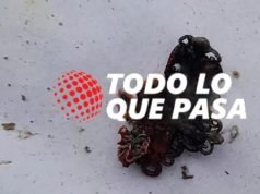 CASO STZRYZOZWSKI: EL HALLAZGO DE UN DIJE PODRÍA SER UNA PIEZA CLAVE EN LA INVESTIGACIÓN DEL FEMICIDIO DE CECILIA.