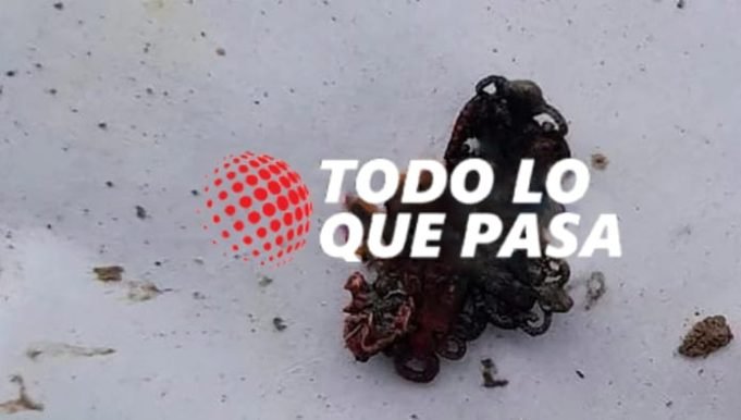CASO STZRYZOZWSKI: EL HALLAZGO DE UN DIJE PODRÍA SER UNA PIEZA CLAVE EN LA INVESTIGACIÓN DEL FEMICIDIO DE CECILIA.