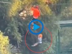 PASA EN REDES: MIRÁ EL IMPACTANTE VÍDEO DE UN NIÑO DE 6 AÑOS QUE CAYÓ DE UNA TIROLESA DE 12 METROS DE ALTURA.