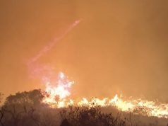 INCENDIO EN EL URITORCO: DEBIERON PROCEDER A LA EVACUACIÓN PREVENTIVA DE FAMILIAS.