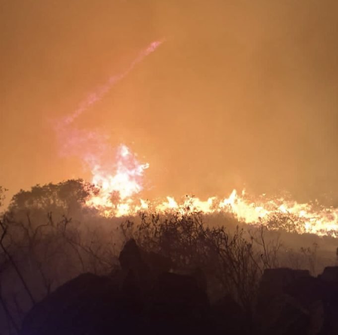 INCENDIO EN EL URITORCO: DEBIERON PROCEDER A LA EVACUACIÓN PREVENTIVA DE FAMILIAS.