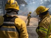 ¡NO PODES! LE ROBARON UNA MOTOSIERRA A BOMBEROS MIENTRAS TRABAJAN EN EL INCENDIO DEL URITORCO.