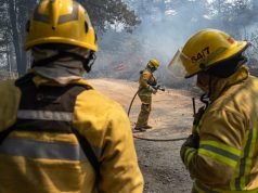 ¡NO PODES! LE ROBARON UNA MOTOSIERRA A BOMBEROS MIENTRAS TRABAJAN EN EL INCENDIO DEL URITORCO.