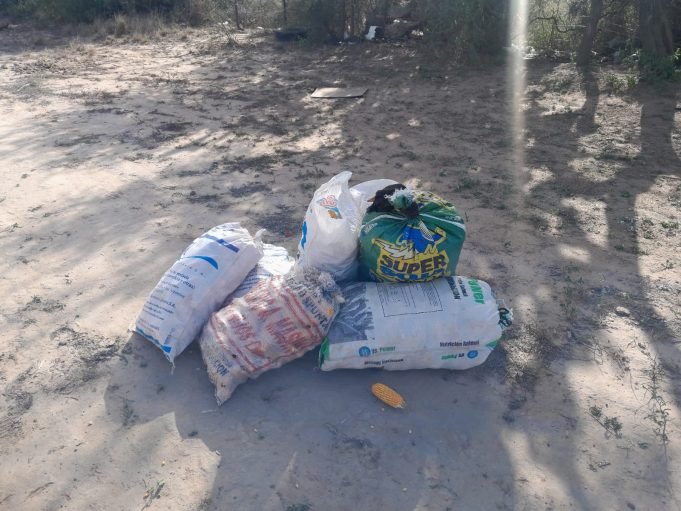 SEBASTIÁN ELCANO: APREHENDIERON A DOS JÓVENES POR ROBAR 7 BOLSAS DE MAÍZ DE UN CAMPO.