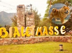 BIALET MASSÉ: UN PERRO RAZA CHOW CHOW MORDIÓ Y OCASIONÓ GRAVES HERIDAS A UNA MUJER.