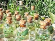 01 DE AGOSTO: “BEBER CAÑA CON RUDA”, UNA TRADICIÓN ANCESTRAL QUE APACHETA INVITA A CELEBRAR CADA AÑO.