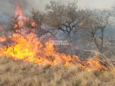 PJE. SANTA CRUZ – DPTO. TULUMBA: SE INICIÓ UN FOCO ÍGNEO Y SE QUEMARON 4 HECTÁREAS DURANTE LA TARDE DE HOY.