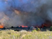INCENDIO TULUMBA: YA SON 80 HECTÁREAS AFECTADAS Y 4 EVACUADOS PREVENTIVOS.