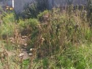 DEÁN FUNES: HALLARON BRUTALMENTE GOLPEADA A UNA JOVEN EN UN DESCAMPADO DE B° KM2.