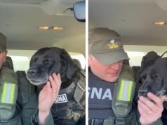 PASA EN REDES: LA PERRITA “PEQUI” SE JUBILÓ DE GENDARMERÍA Y SU TIERNA DESPEDIDA SE VOLVIÓ VIRAL. ¡MIRÁ!