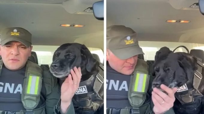 PASA EN REDES: LA PERRITA “PEQUI” SE JUBILÓ DE GENDARMERÍA Y SU TIERNA DESPEDIDA SE VOLVIÓ VIRAL. ¡MIRÁ!